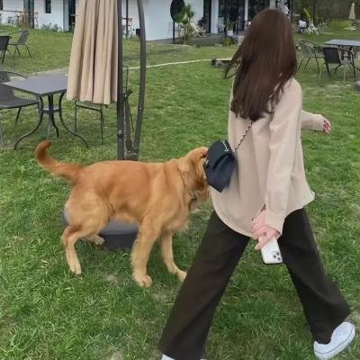 审判者1